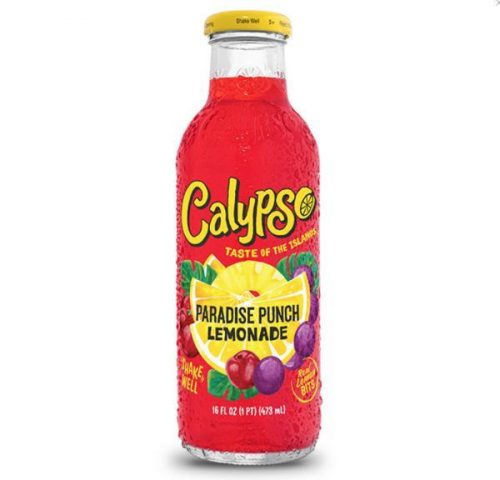 Calypso Calypso Paradise Punch 12x473ml